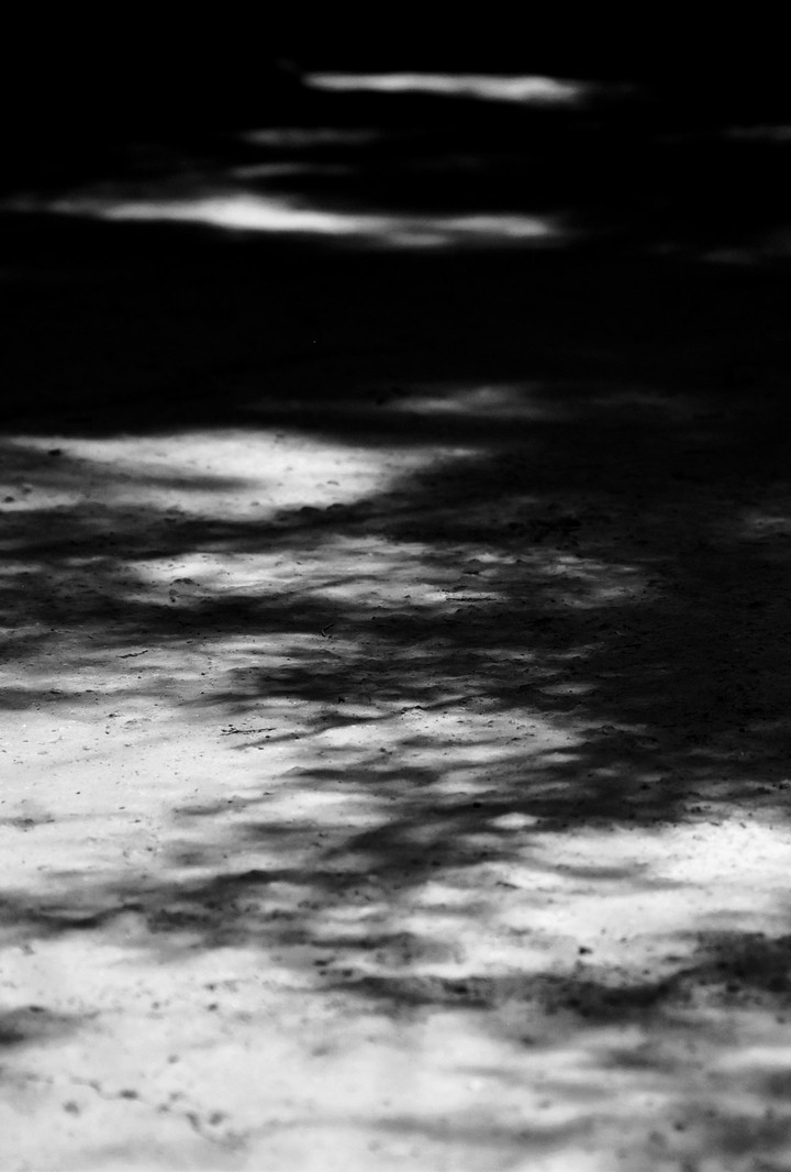 shadow