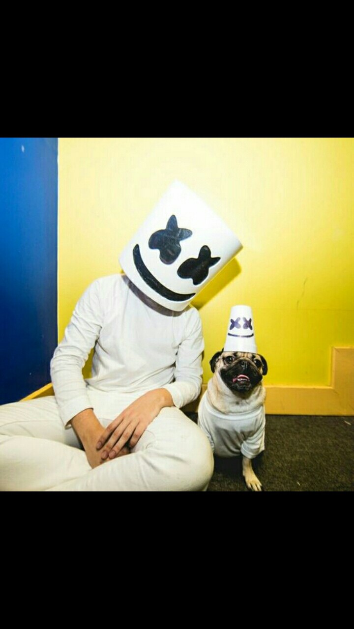marshmello