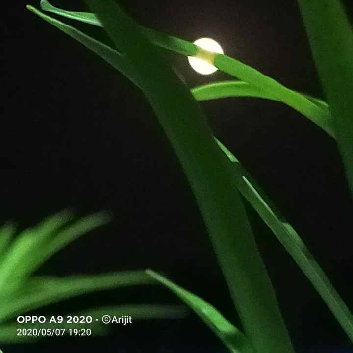 Moon