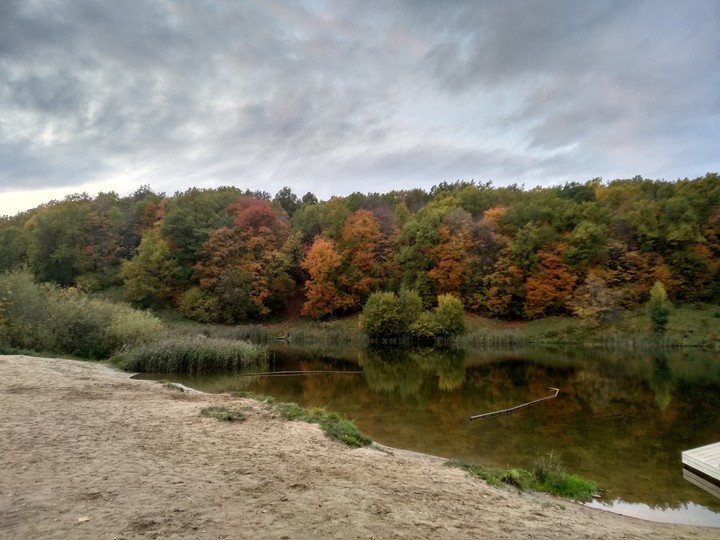 Walk. Autumn.