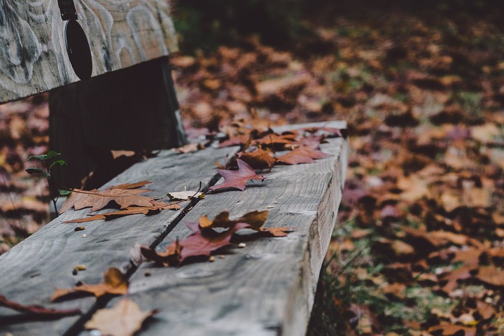 last autumn days