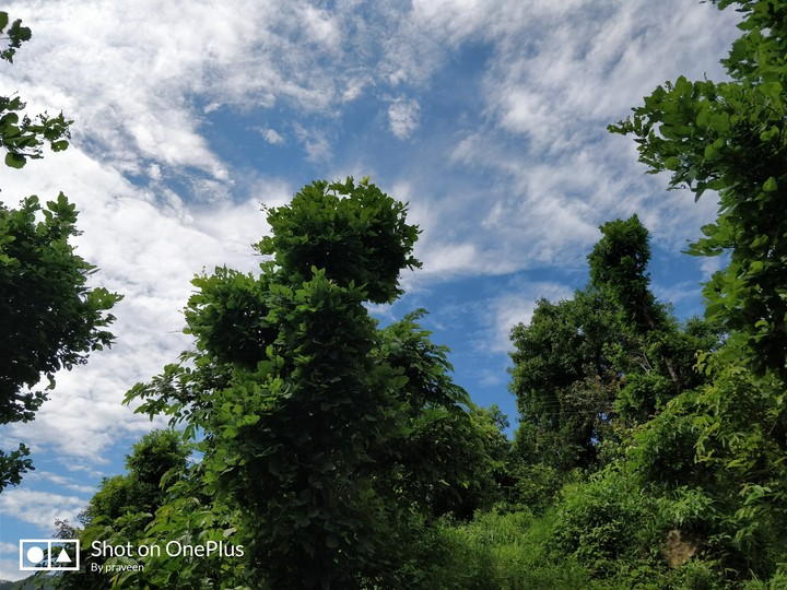 beauty of nature