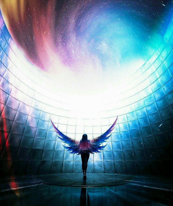 discover your wings to fly
