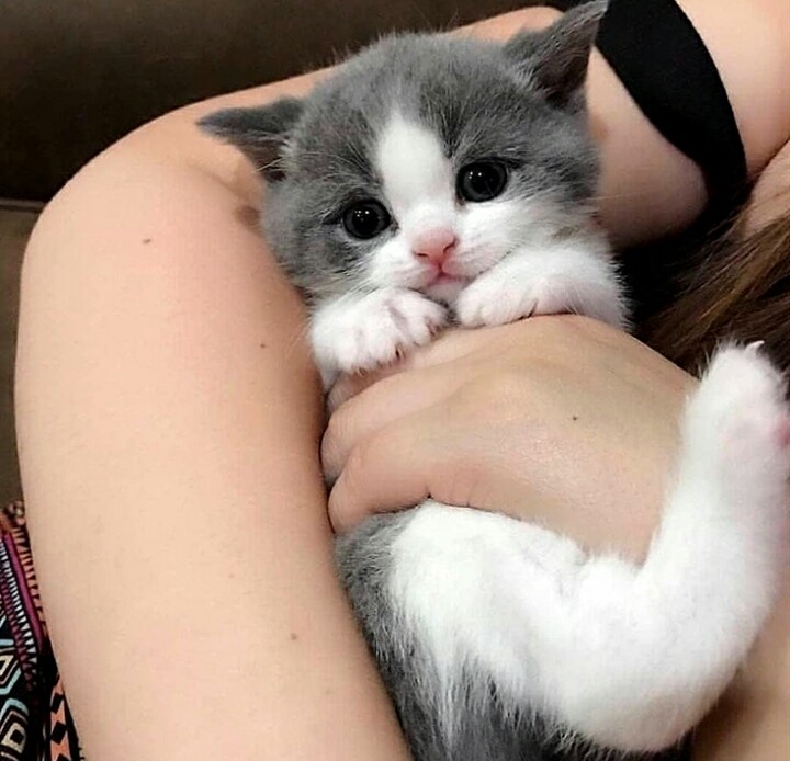 cutttteee