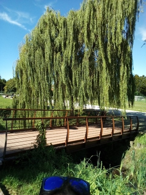 park