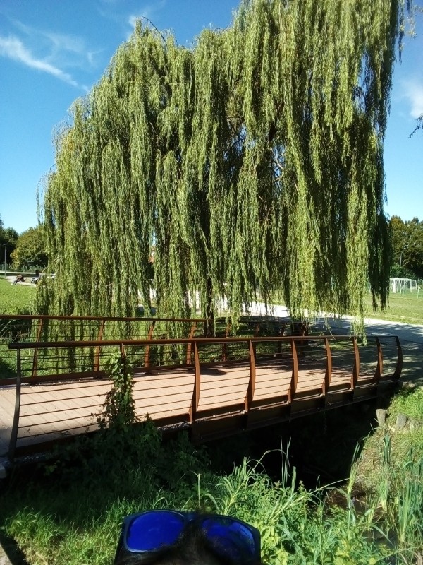 park
