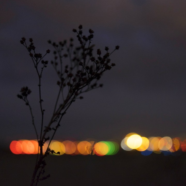 Automn