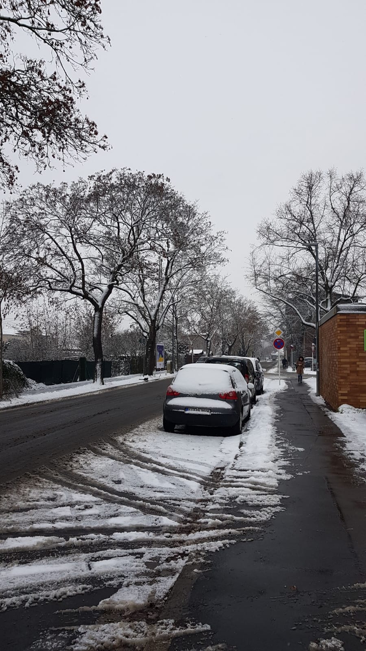 Weather