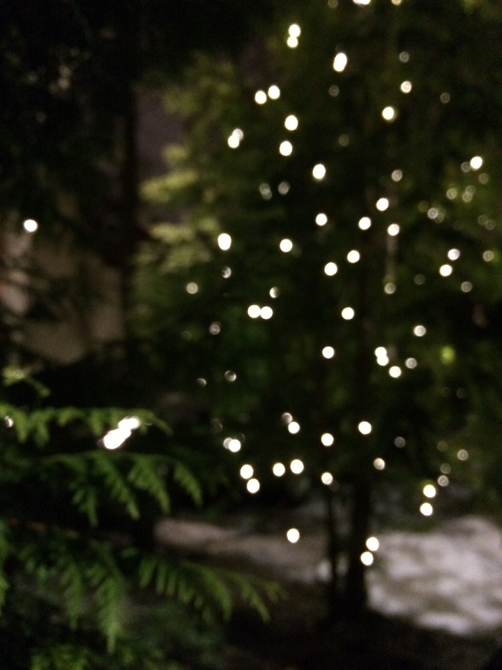 Christmas lights