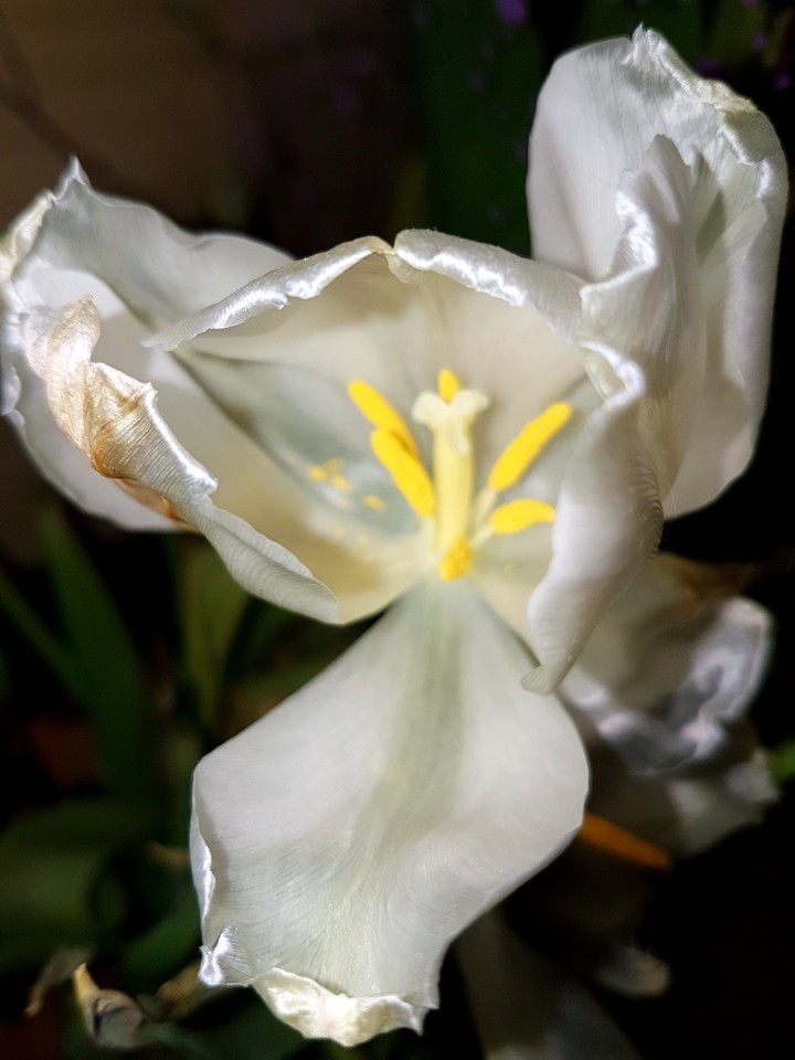 8may