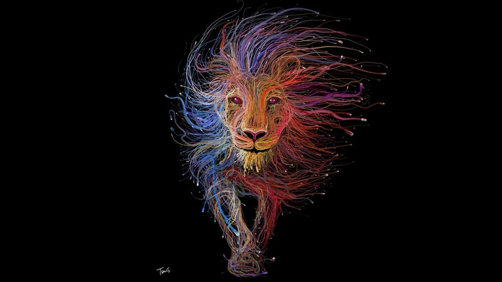 Lion ❤