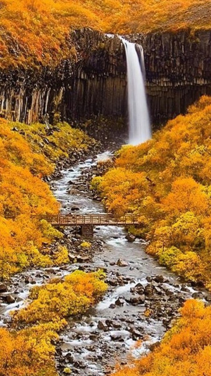 nature