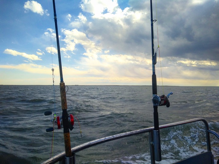 Bahía San Blas (Argentina)