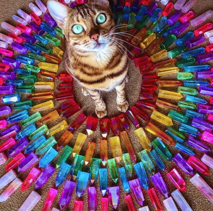 rainbow