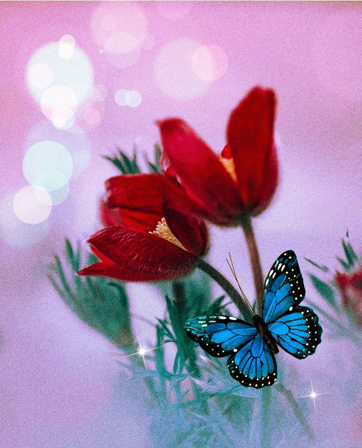 beauty...