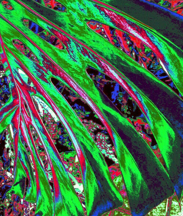 COLORFUL