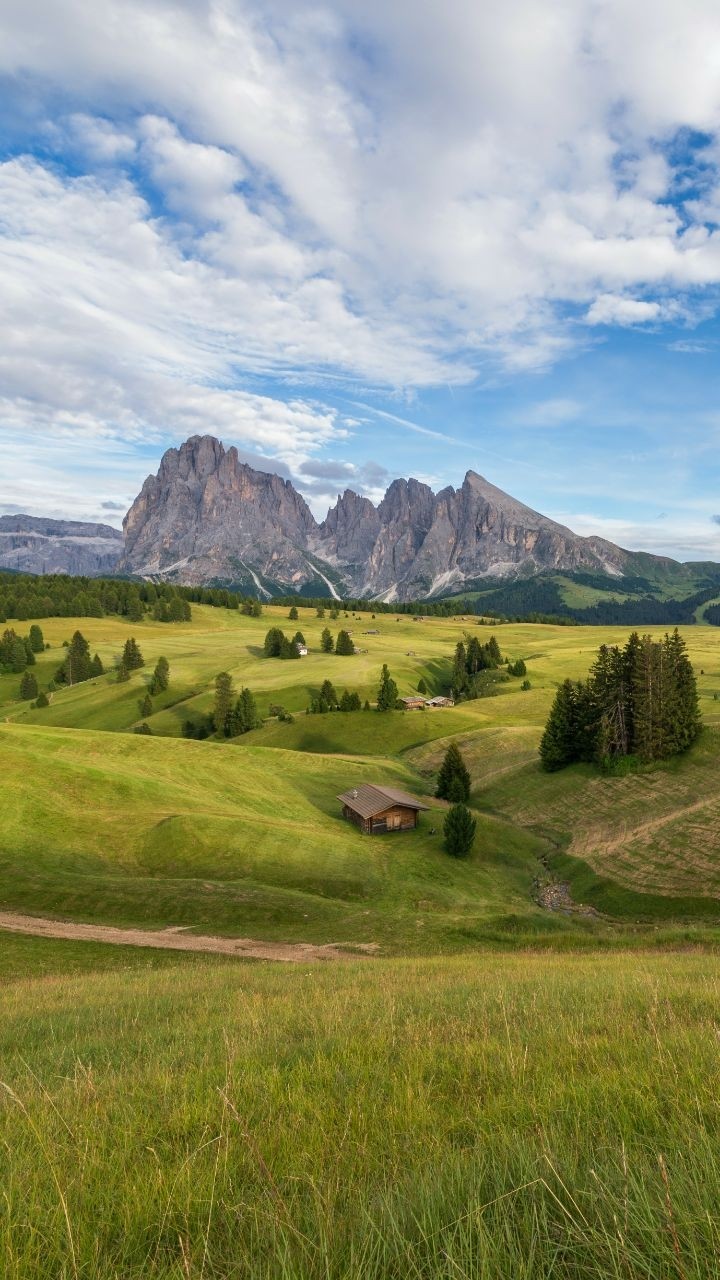 green field