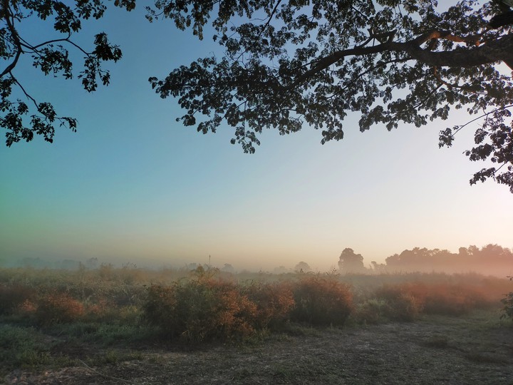 fog