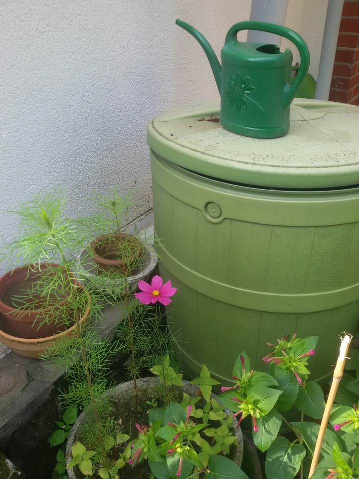Gartenidylle