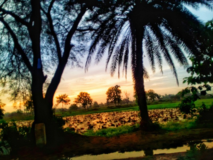 Beauty of Nature