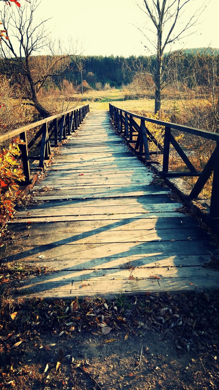 Bridge