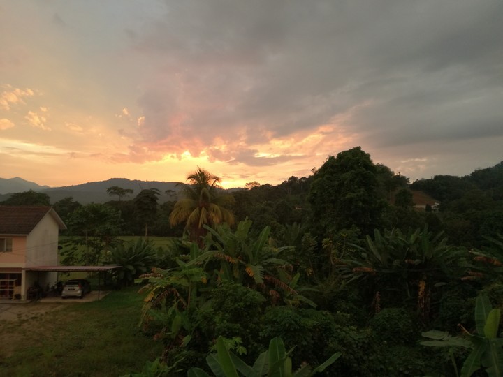 evening