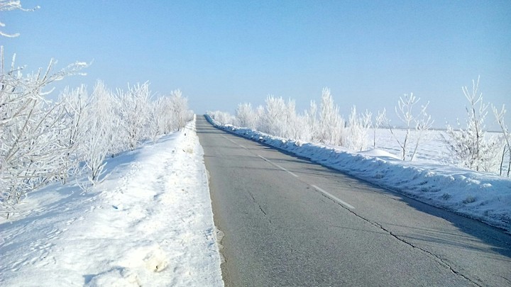 winter bg