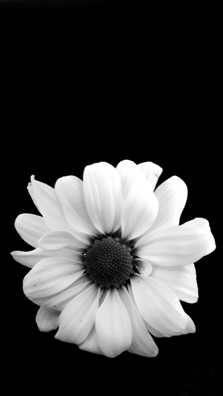 Black and white