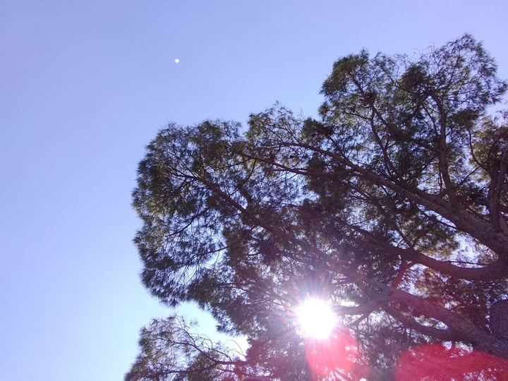 sky