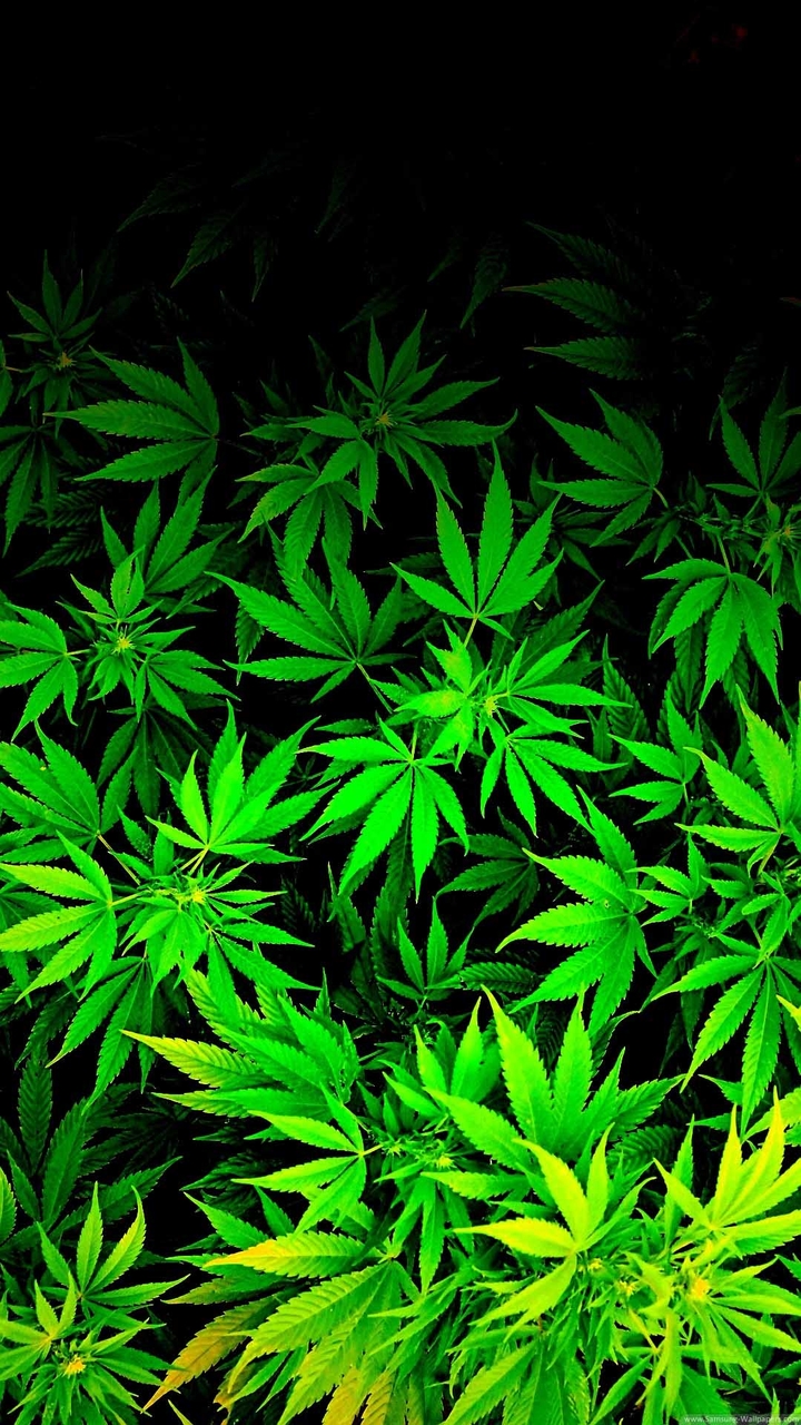 weed