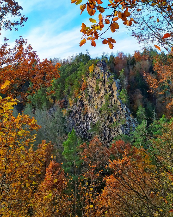 nature