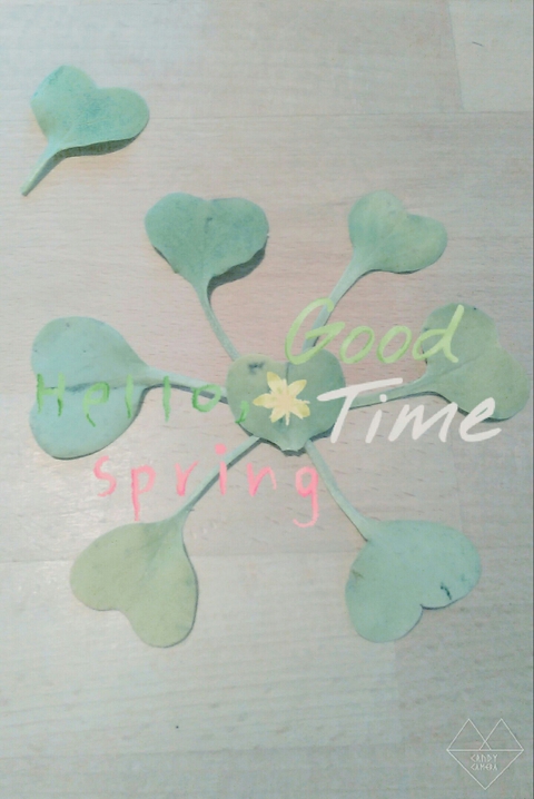 Hello Spring ♥