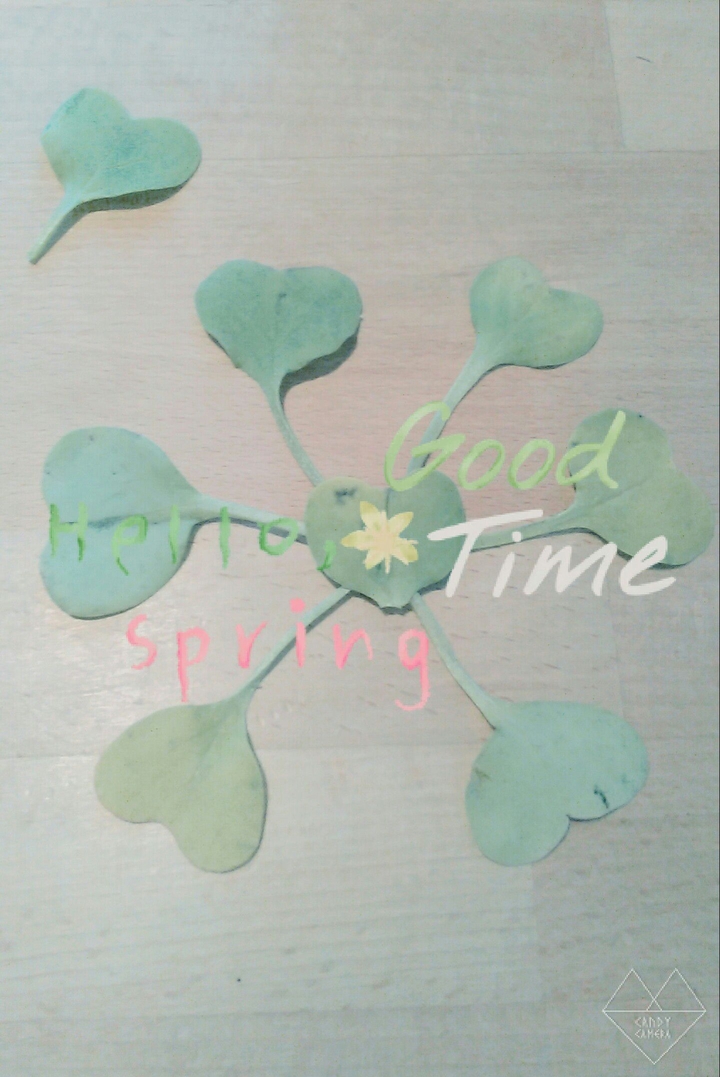 Hello Spring ♥