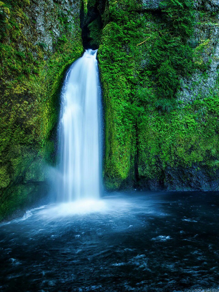 Nature