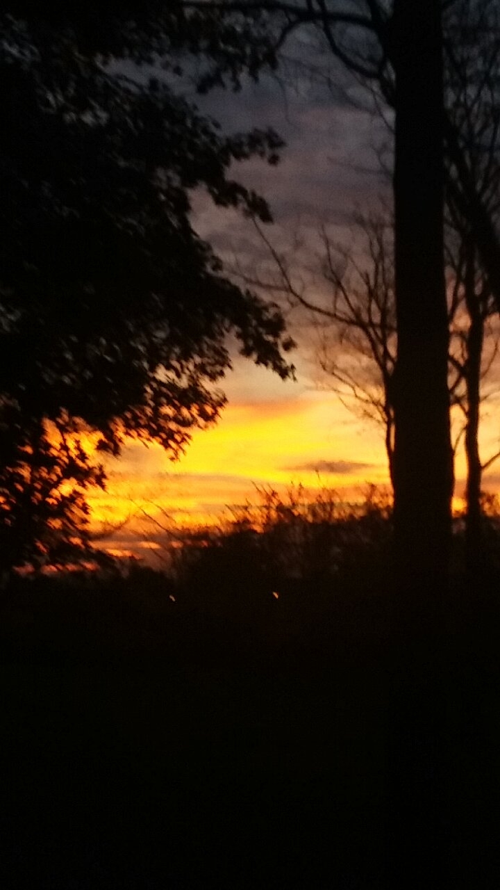 I took this