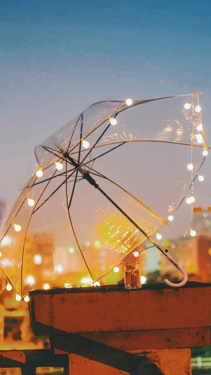 umbrella