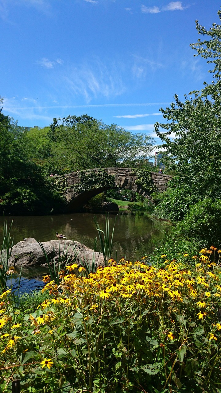 Day in central park.