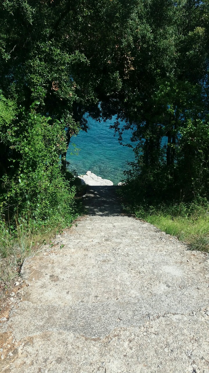 Meer