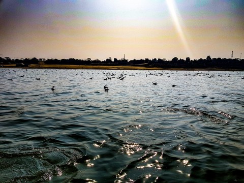 ganga