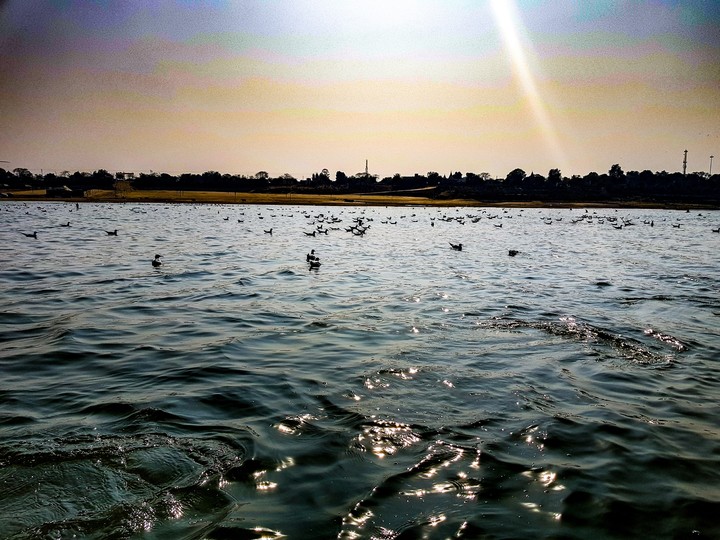 ganga