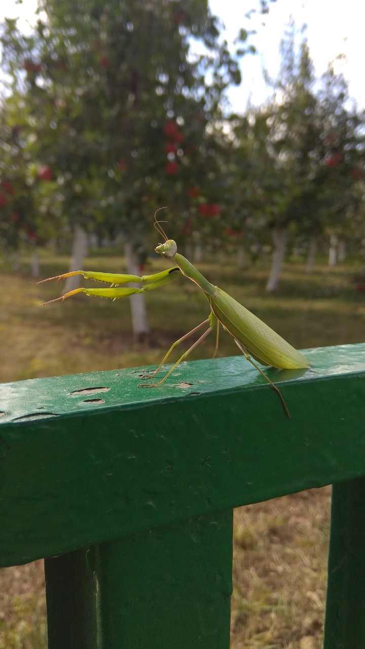 Nature♥️