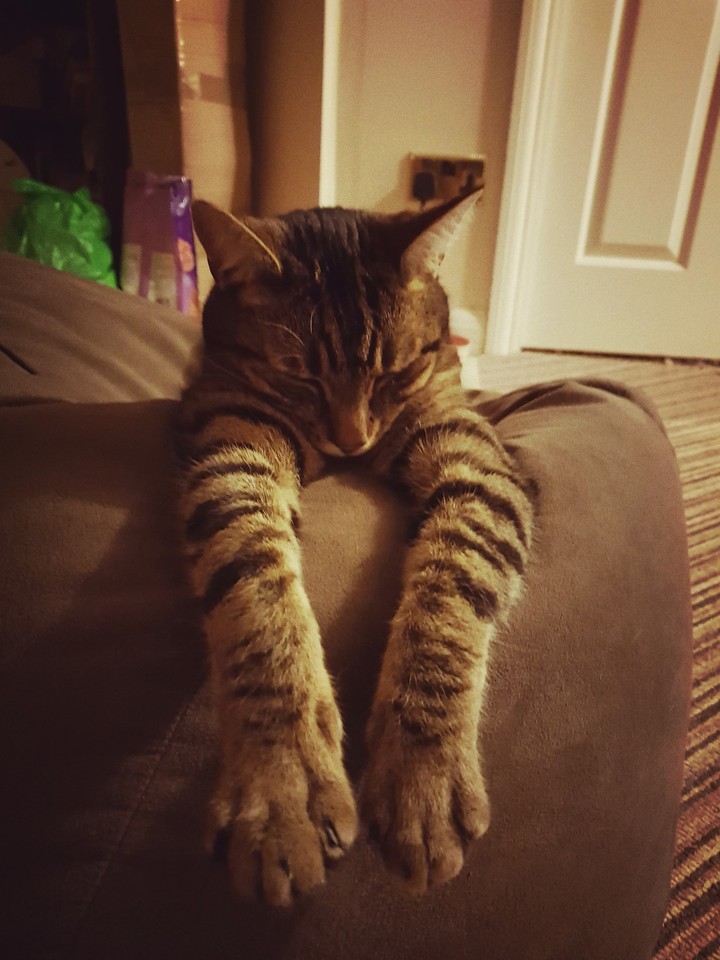 just chillin'