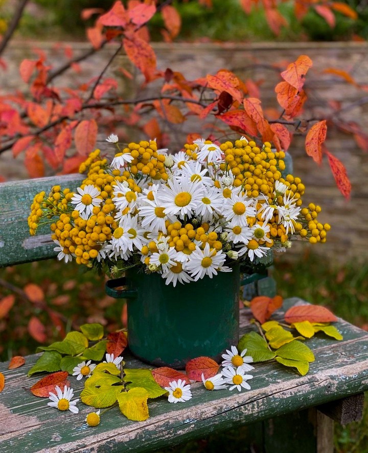 ✿❂❤️✿❂