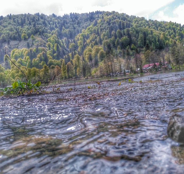 Lake Vİew