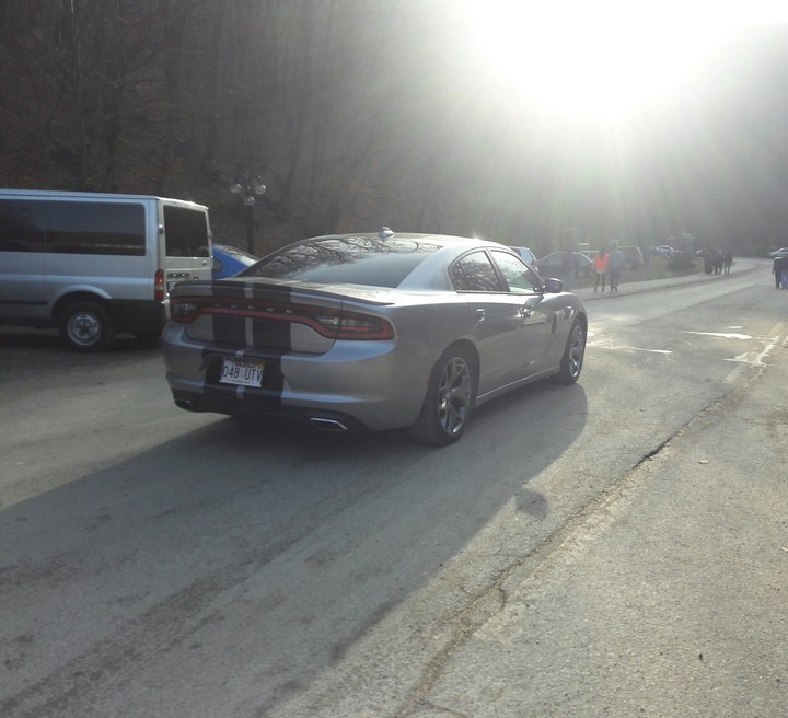 GreyDodge
