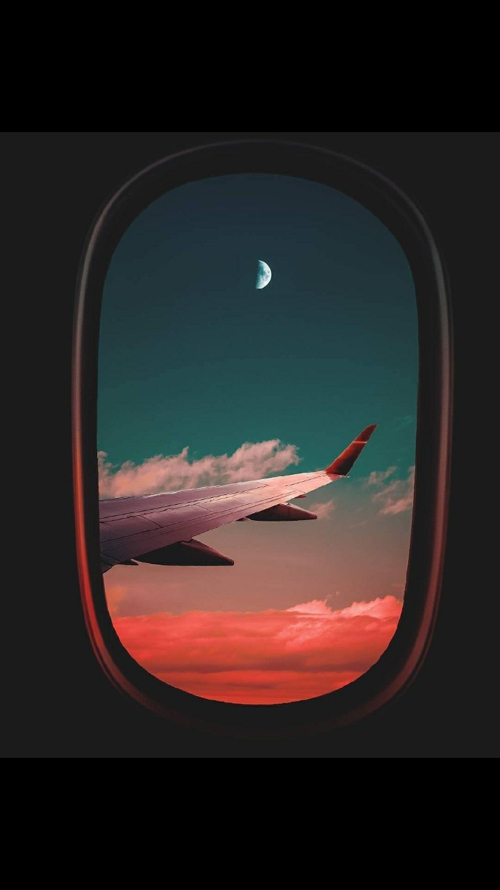 Plane Flying Skies