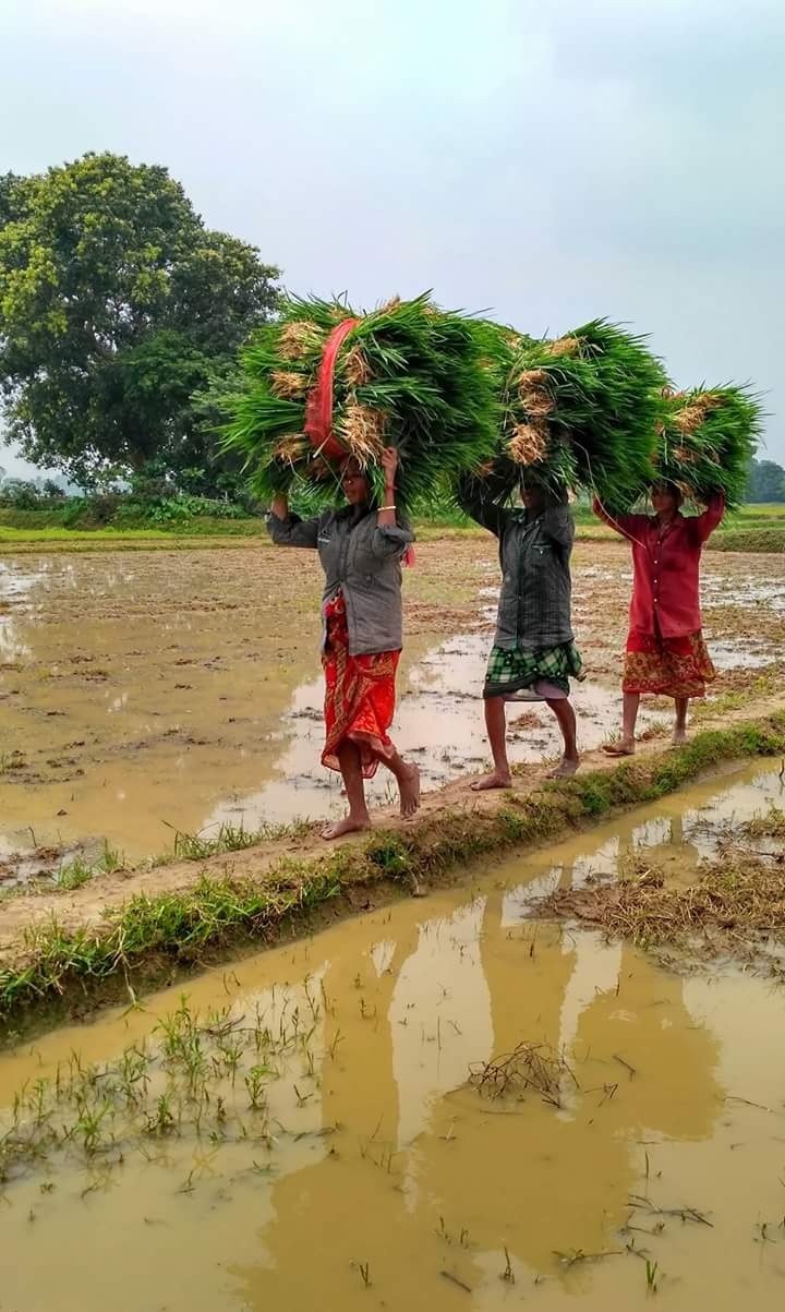 my India