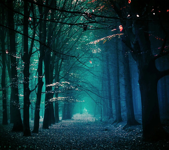 path to heven