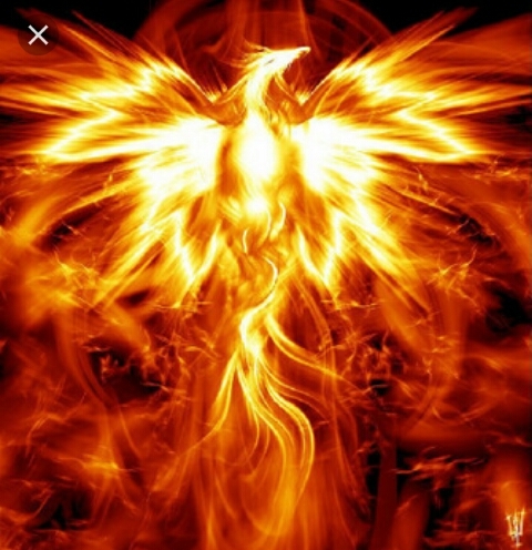 Fire bird