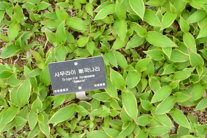 풍경이미지